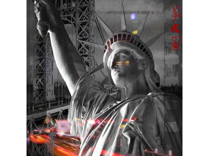 Lady Liberty in Black and White the artwork factory