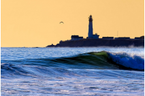 Golden California Coast - Pigeon Point Lighthouse